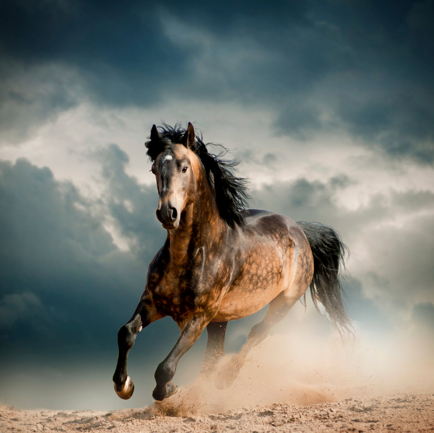 iStock_000030756272_Medium_da26add1-6809-444d-bfd2-72af30fa563c.jpg